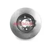 Диск тормозной d=300V HG433/405 Merc/VW (10418010/270919/0259049